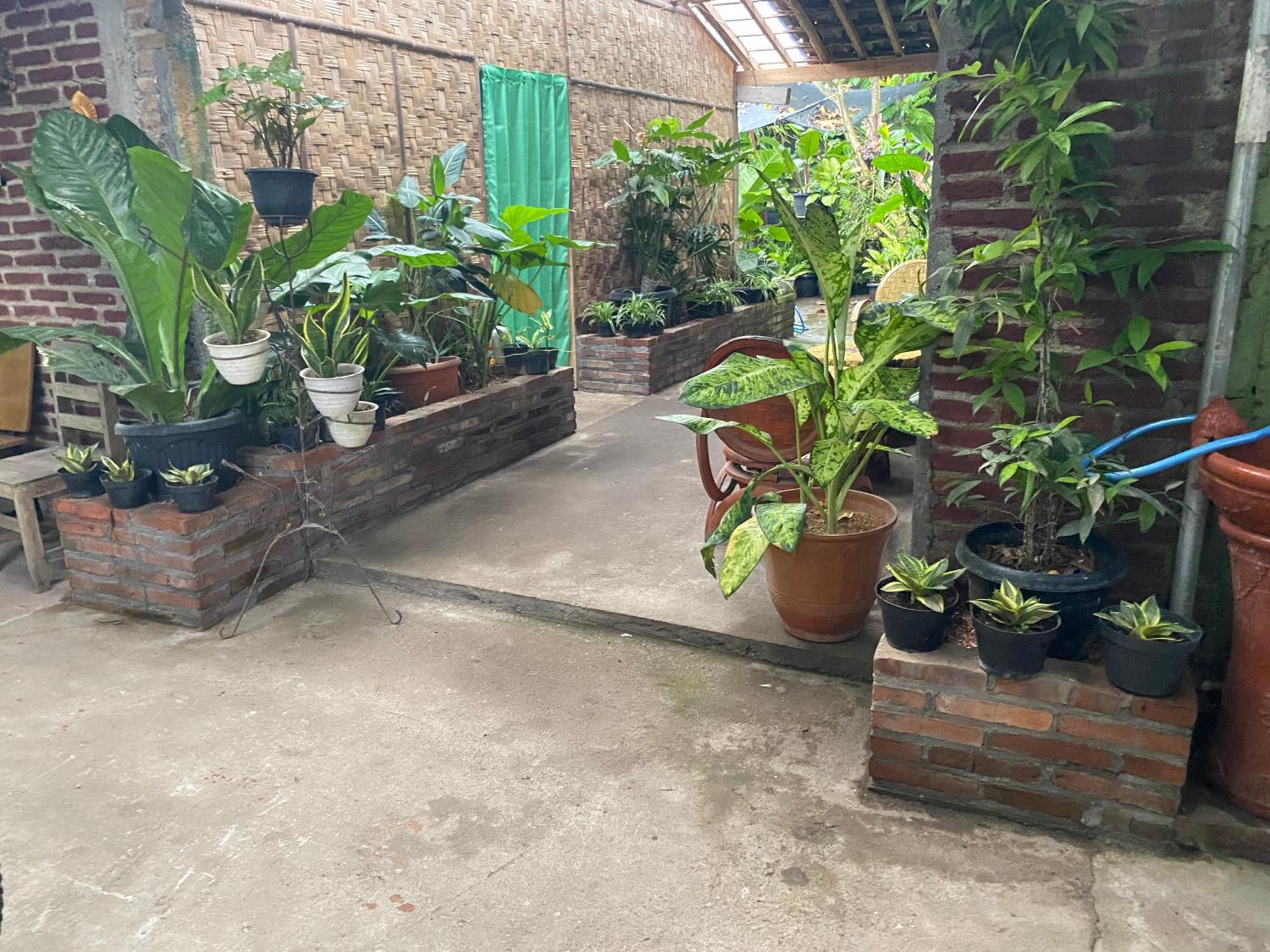 Ada Homestay Magelang Eksteriør billede