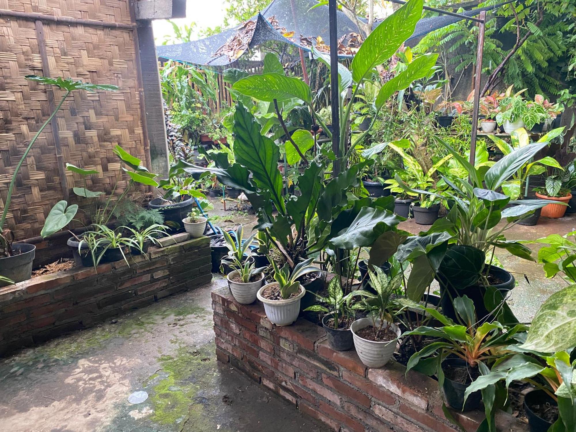 Ada Homestay Magelang Eksteriør billede